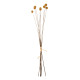 DECORATIVE DRIED BOUQUET CRASPEDIA GLOBOSA HM7956 YELLOW 63Hcm. **