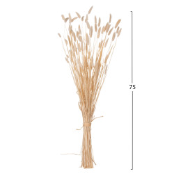 Διακοσμητικο μπουκετο αποξηραμενο hm7959 rabbit tail- cream 50gr 76υεκ. ** Διακοσμητικο μπουκετο αποξηραμενο hm7959 rabbit tail- cream 50gr 76υεκ. **