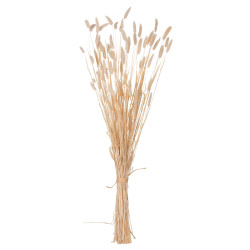 Διακοσμητικο μπουκετο αποξηραμενο hm7959 rabbit tail- cream 50gr 76υεκ. **