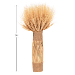 Διακοσμητικο μπουκετο αποξηραμενα σταχυα hm7963 φυσικο 48υεκ ** Διακοσμητικο μπουκετο αποξηραμενα σταχυα hm7963 φυσικο 48υεκ **