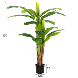 Διακοσμητικο συνθετικο φυτο hm7977 δεντρο μπανανασ σε γλαστρα 150υεκ. ** Διακοσμητικο συνθετικο φυτο hm7977 δεντρο μπανανασ σε γλαστρα 150υεκ. **