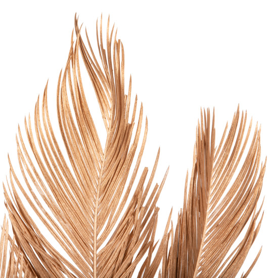 DECORATIVE DRIED 3-LEAF SET OF PALM TREE HM7958 GOLD 110Hcm. **