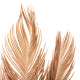DECORATIVE DRIED 3-LEAF SET OF PALM TREE HM7958 GOLD 110Hcm. **