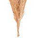 DECORATIVE DRIED 3-LEAF SET OF PALM TREE HM7958 GOLD 110Hcm. **