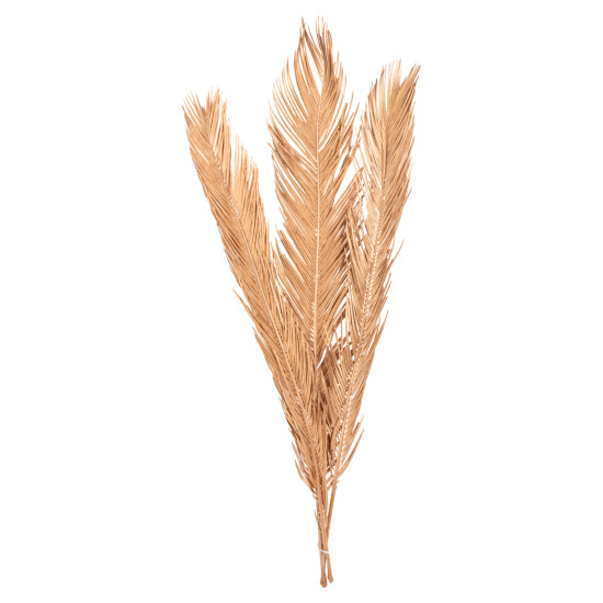 DECORATIVE DRIED 3-LEAF SET OF PALM TREE HM7958 GOLD 110Hcm. **