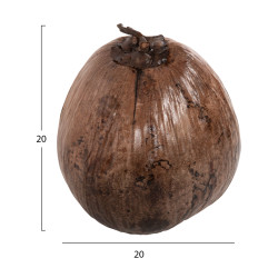 Επιτραπεζιο διακοσμητικο hm4326.01 καρυδα σε φυσικο χρωμα 20x20x20υεκ ** Επιτραπεζιο διακοσμητικο hm4326.01 καρυδα σε φυσικο χρωμα 20x20x20υεκ **