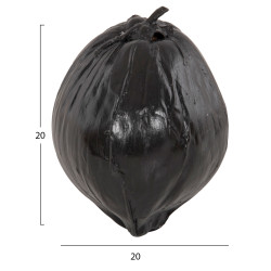 Επιτραπεζιο διακοσμητικο hm4326.02 καρυδα σε μαυρο χρωμα 20x20x20υεκ ** Επιτραπεζιο διακοσμητικο hm4326.02 καρυδα σε μαυρο χρωμα 20x20x20υεκ **