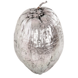 Επιτραπεζιο διακοσμητικο hm4326.04 καρυδα σε ασημι χρωμα 20x20x20υεκ **