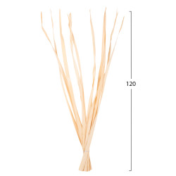 Διακοσμητικο μπουκετο 10τμχ αποξηραμενων μακρυφυλλων hm7964 φυσικο 120υεκ ** Διακοσμητικο μπουκετο 10τμχ αποξηραμενων μακρυφυλλων hm7964 φυσικο 120υεκ **