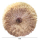 Διακοσμητικο τοιχου στρογγυλο abor hm4717 ινεσ sisal φυσικο φ60εκ. **