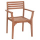 ΠΟΛΥΘΡΟΝΑ ΕΞΩΤ.ΧΩΡΟΥ ERMIONI HM18129 ΞΥΛΟ TEAK--ΦΥΣΙΚΟ ΧΡΩΜΑ 60x59x84Υεκ. - 2τεμ **