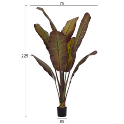 Διακοσμητικο συνθετικο φυτο hm4740 ιαπωνικη μπανανα σε γλαστρα 85x75x225υεκ. **