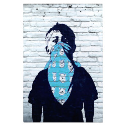 Πινακασ toixoy σειρα gobi hm4829 εκτυπωμενοσ καμβασ 50x3(πάχος)x70yεκ. **