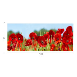 Πινακασ toixoy σειρα gobi hm4786 εκτυπωμενοσ καμβασ 120x3(πάχος)x50υεκ. **