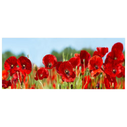 Πινακασ toixoy σειρα gobi hm4786 εκτυπωμενοσ καμβασ 120x3(πάχος)x50υεκ. **