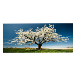 Πινακασ toixoy σειρα gobi hm4792 εκτυπωμενοσ καμβασ 120x3(πάχος)x50υεκ. **