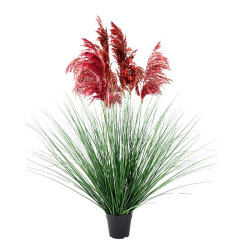 ΔΙΑΚΟΣΜΗΤΙΚΟ ΦΥΤΟ PAMPAS GRASS ΣΕ ΓΛΑΣΤΡΑ 9008 ΚΟΚΚΙΝΟ ΧΡΩΜΑ 70x70x110εκ ΔΙΑΚΟΣΜΗΤΙΚΟ ΦΥΤΟ PAMPAS GRASS ΣΕ ΓΛΑΣΤΡΑ 9008 ΚΟΚΚΙΝΟ ΧΡΩΜΑ 70x70x110εκ