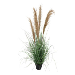 ΔΙΑΚΟΣΜΗΤΙΚΟ ΦΥΤΟ PAΜPAS GRASS ΣΕ ΓΛΑΣΤΡΑ 9571 ΜΠΕΖ ΧΡΩΜΑ 33x33x125εκ ΔΙΑΚΟΣΜΗΤΙΚΟ ΦΥΤΟ PAΜPAS GRASS ΣΕ ΓΛΑΣΤΡΑ 9571 ΜΠΕΖ ΧΡΩΜΑ 33x33x125εκ