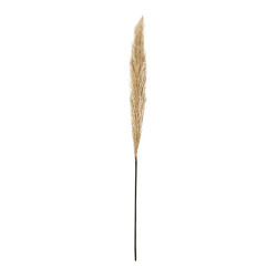 ΔΙΑΚΟΣΜΗΤΙΚΟ ΛΟΥΛΟΥΔΙ PAMPAS GRASS  9573 ΜΠΕΖ ΧΡΩΜΑ 9x9x120εκ ΔΙΑΚΟΣΜΗΤΙΚΟ ΛΟΥΛΟΥΔΙ PAMPAS GRASS  9573 ΜΠΕΖ ΧΡΩΜΑ 9x9x120εκ