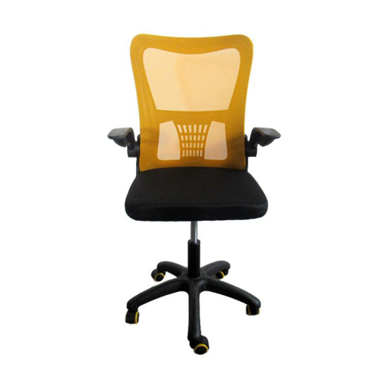 ΚΑΡΕΚΛΑ ΓΡΑΦΕΙΟΥ FL611 ΚΙΤΡΙΝΟ-ΜΑΥΡΟ ΧΡΩΜΑ 57x54x106εκ ΚΑΡΕΚΛΑ ΓΡΑΦΕΙΟΥ FL611 ΚΙΤΡΙΝΟ-ΜΑΥΡΟ ΧΡΩΜΑ 57x54x106εκ