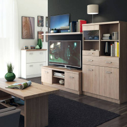 Σύνθεση Τηλεόρασης Top Mix