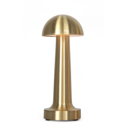 Επιτραπέζιο Φωτιστικό LED 0020