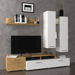 Σύνθεση Τηλεόρασης Astin