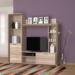 Σύνθεση Tηλεόρασης Badan