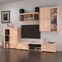 Σύνθεση Τηλεόρασης Damis 1