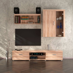 Σύνθεση Τηλεόρασης Damis 2