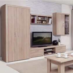 Σύνθεση Τηλεόρασης Damis 3