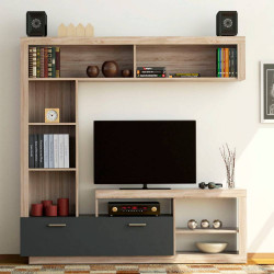 Σύνθεση Τηλεόρασης Floks S