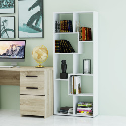 Βιβλιοθήκη Regal