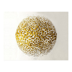 Πίνακας σε καμβά Depondy με ψηφιακή εκτύπωση 70x3x100εκ **