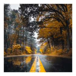 Πίνακας σε καμβά Savgone ψηφιακής εκτύπωσης 50x1.8x50εκ ** Πίνακας σε καμβά Savgone ψηφιακής εκτύπωσης 50x1.8x50εκ **