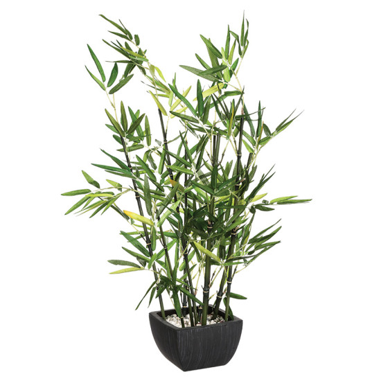 Φυτό σε γλάστρα Green 43x34x67εκ **