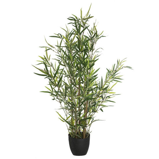 Φυτό σε γλάστρα Green10 63x55x90εκ **