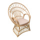 Πολυθρόνα Boloni Inart με μπεζ μαξιλάρι-φυσικό rattan 100x67x120εκ **