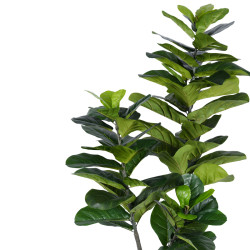 Διακοσμητικό φυτό Fiddlehead I σε γλάστρα Inart πράσινο pp Υ180εκ ** Διακοσμητικό φυτό Fiddlehead I σε γλάστρα Inart πράσινο pp Υ180εκ **