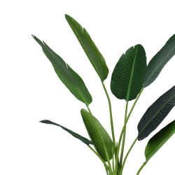 Διακοσμητικό φυτό Palm tree σε γλάστρα Inart πράσινο pp Υ120εκ ** Διακοσμητικό φυτό Palm tree σε γλάστρα Inart πράσινο pp Υ120εκ **