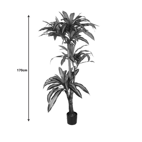 Διακοσμητικό φυτό Dracaena I σε γλάστρα Inart  πράσινο pp Υ170εκ **