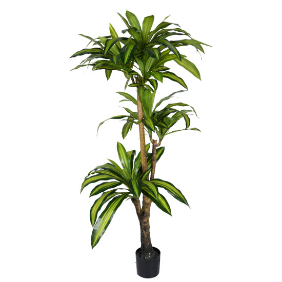 Διακοσμητικό φυτό Dracaena I σε γλάστρα Inart  πράσινο pp Υ170εκ **