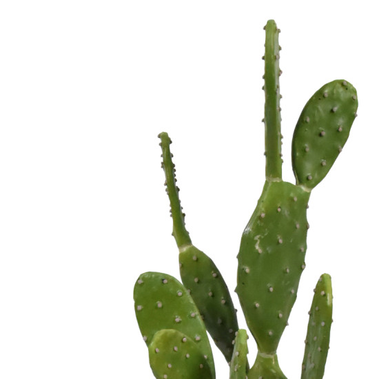Διακοσμητικό φυτό Cactus σε γλάστρα Inart πράσινο pp Υ64εκ **
