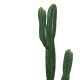 Διακοσμητικό φυτό Cactus I σε γλάστρα Inart πράσινο pp Υ155εκ **
