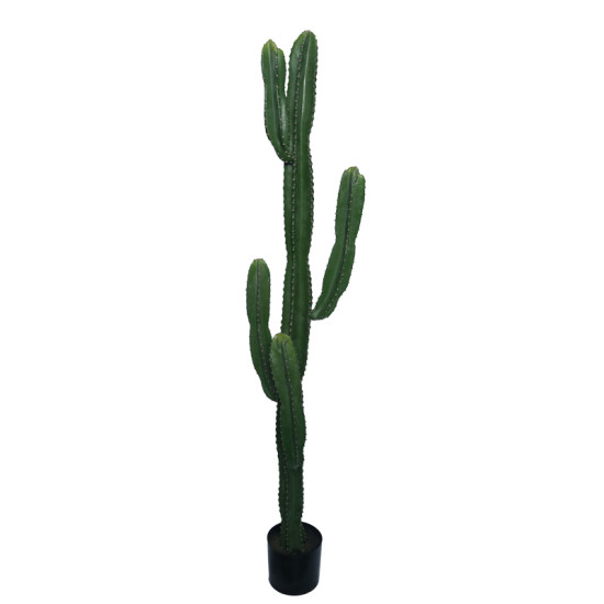 Διακοσμητικό φυτό Cactus I σε γλάστρα Inart πράσινο pp Υ155εκ **