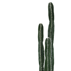 Διακοσμητικό φυτό Cactus II σε γλάστρα Inart πράσινο pp Υ155εκ ** Διακοσμητικό φυτό Cactus II σε γλάστρα Inart πράσινο pp Υ155εκ **
