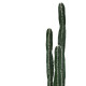 Διακοσμητικό φυτό Cactus II σε γλάστρα Inart πράσινο pp Υ155εκ **