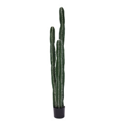 Διακοσμητικό φυτό Cactus II σε γλάστρα Inart πράσινο pp Υ155εκ ** Διακοσμητικό φυτό Cactus II σε γλάστρα Inart πράσινο pp Υ155εκ **