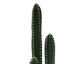 Διακοσμητικό φυτό Cactus III σε γλάστρα Inart πράσινο pp Υ85εκ ** Διακοσμητικό φυτό Cactus III σε γλάστρα Inart πράσινο pp Υ85εκ **