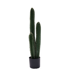Διακοσμητικό φυτό Cactus III σε γλάστρα Inart πράσινο pp Υ85εκ ** Διακοσμητικό φυτό Cactus III σε γλάστρα Inart πράσινο pp Υ85εκ **